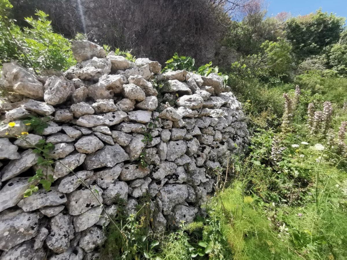 Anna 1924 Bed & Breakfast Gagliano del Capo Luaran gambar