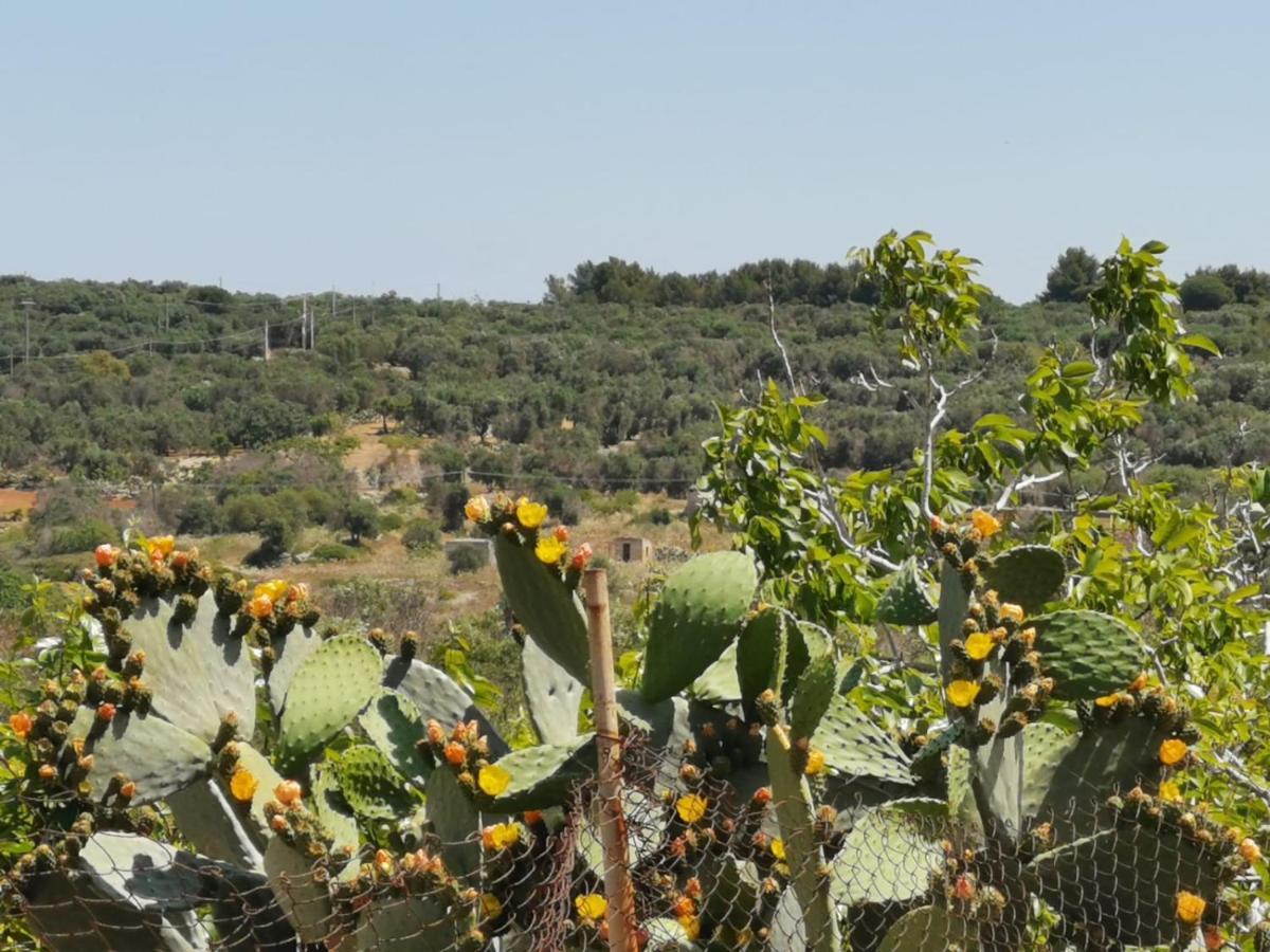 Anna 1924 Bed & Breakfast Gagliano del Capo Luaran gambar